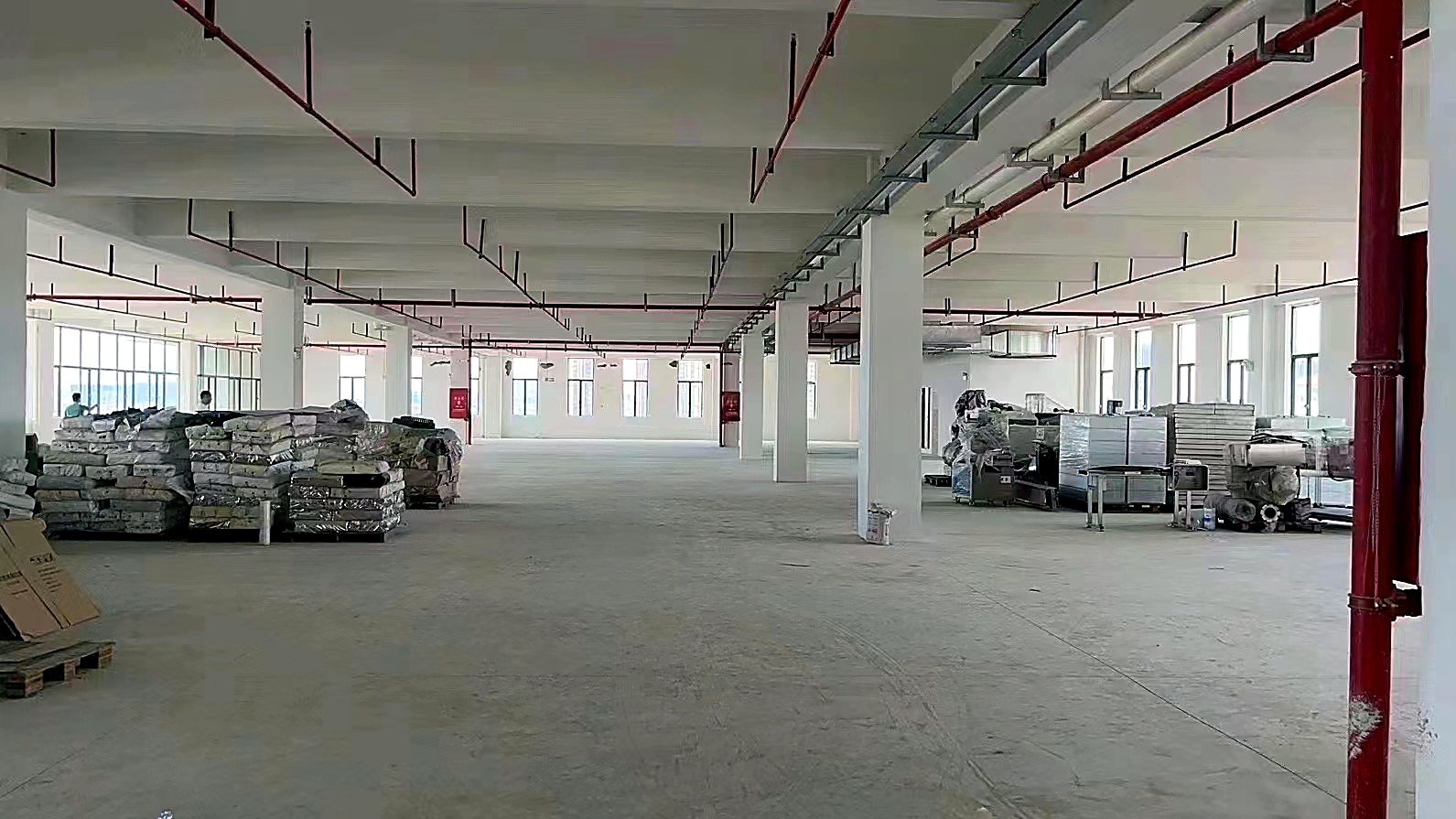 Warehouse & Container Loading